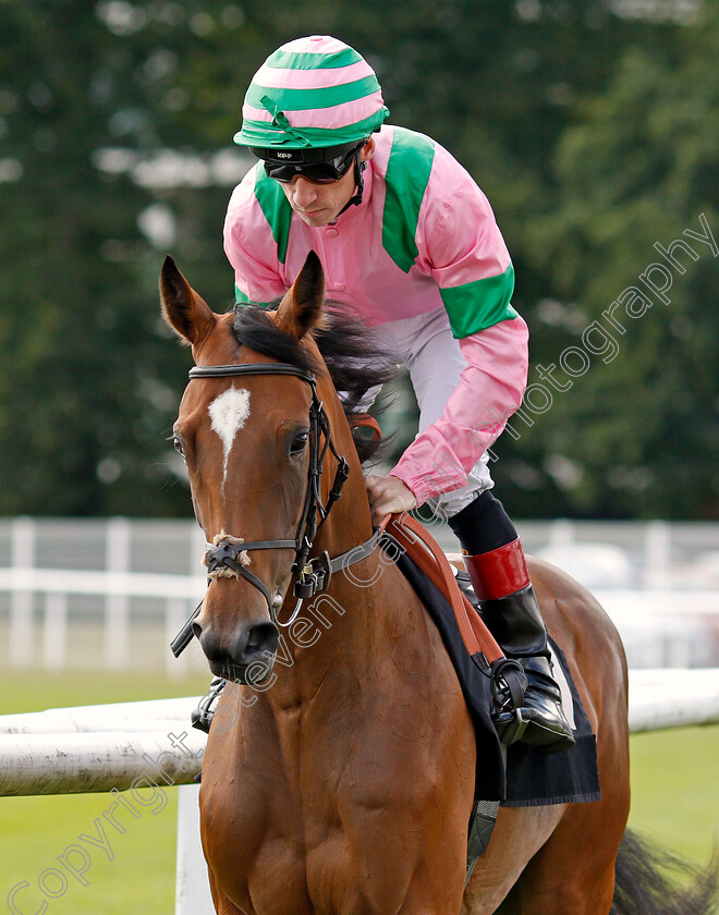 Lady-Lynetta-0001 
 LADY LYNETTA (Shane Kelly)
Newbury 6 Aug 2019 - Pic Steven Cargill / Racingfotos.com