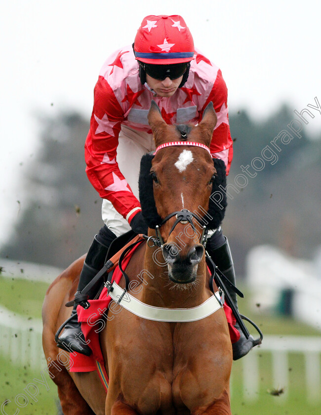 Poker-School-0002 
 POKER SCHOOL (Tom O'Brien) 
Sandown 5 Jan 2019 - Pic Steven Cargill / Racingfotos.com