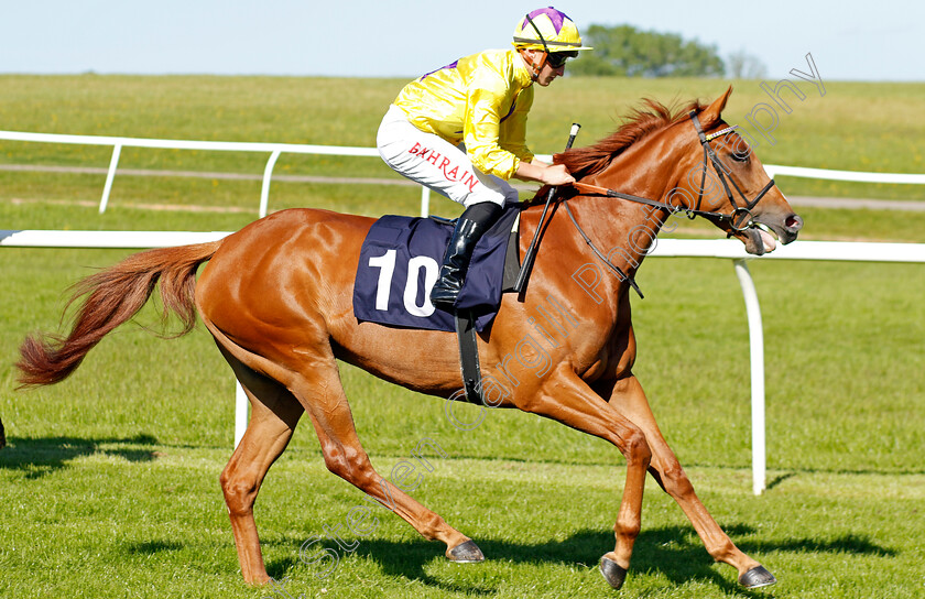 Sea-On-Time 
 SEA ON TIME (Tom Marquand)
Chepstow 27 May 2022 - Pic Steven Cargill / Racingfotos.com