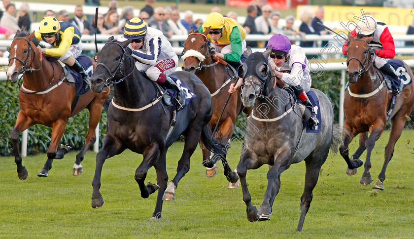 Dark-Shadow-0002 
 DARK SHADOW (right, Adam Kirby) beats LINE OF REASON (left) in The Parkes Bros Roofing Contractors Handicap
Doncaster 11 Sep 2019 - Pic Steven Cargill / Racingfotos.com