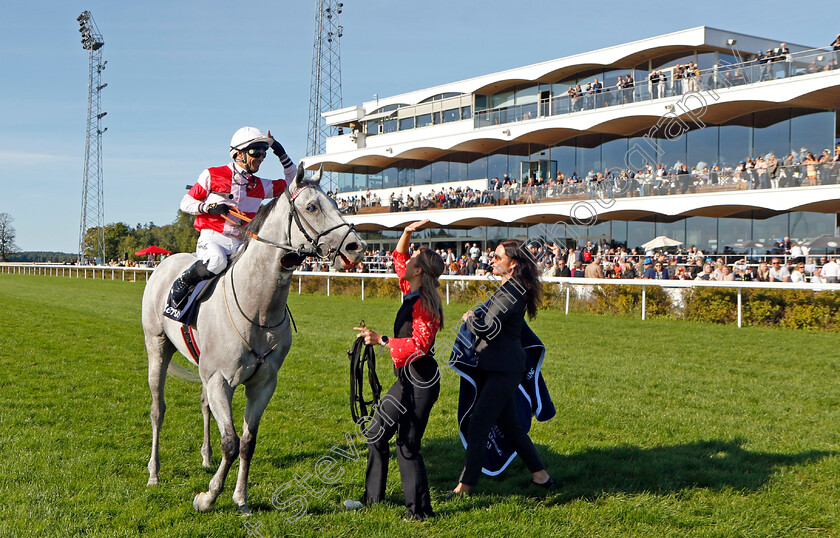 Duca-Di-Como-0009 
 DUCA DI COMO (Elione Chaves) after winning The Tattersalls Nickes Minneslopning for the fifth time.
Bro Park, Sweden 17 Sep 2023 - Pic Steven Cargill / Racingfotos.com