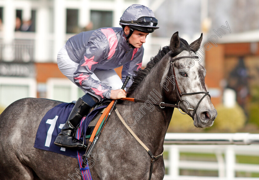 One-To-Go-0001 
 ONE TO GO (Adam McNanamara)
Lingfield 22 Feb 2020 - Pic Steven Cargill / Racingfotos.com