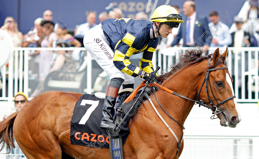 Mr-Postman 
 MR POSTMAN (Sean Kirrane)
Epsom 3 Jul 2022 - Pic Steven Cargill / Racingfotos.com