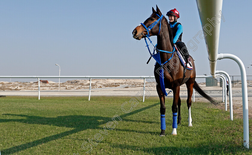 Deirdre-0003 
 DEIRDRE (Hollie Doyle) training for the Bahrain International Trophy
Rashid Equestrian & Horseracing Club, Bahrain, 19 Nov 2020 - Pic Steven Cargill / Racingfotos.com