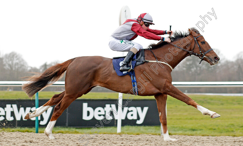 Estrela-Star-0004 
 ESTRELA STAR (Kieran O'Neill) wins The Play 4 To Score At Betway Handicap
Lingfield 14 Feb 2020 - Pic Steven Cargill / Racingfotos.com