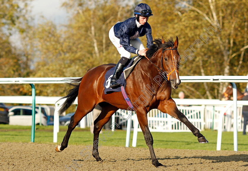 Conducive 
 CONDUCIVE (Rossa Ryan)
Lingfield 28 Oct 2021 - Pic Steven Cargill / Raingfotos.com