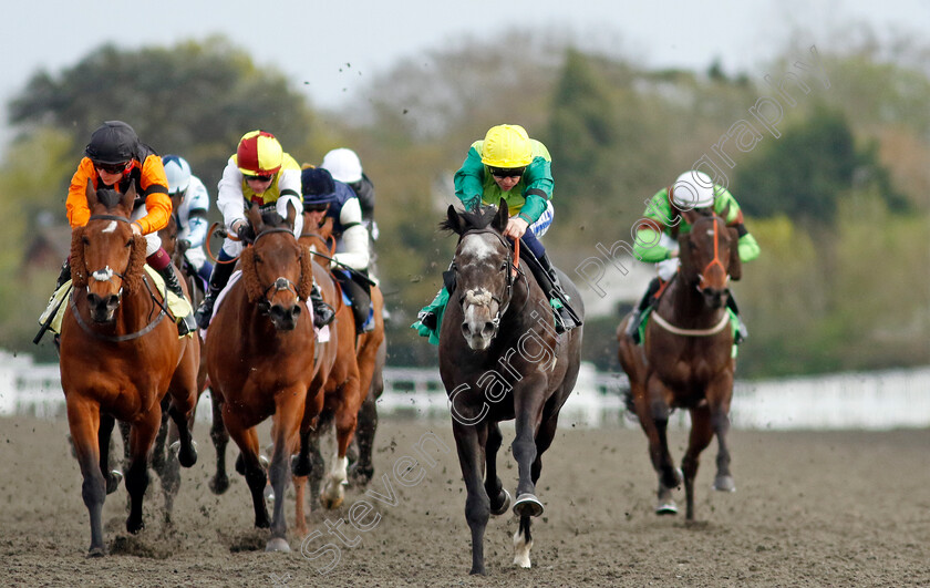 Ferrous-0005 
 FERROUS (David Probert) wins The Virgin Bet Fives Handicap
Kempton 6 Apr 2024 - Pic Steven Cargill / Racingfotos.com