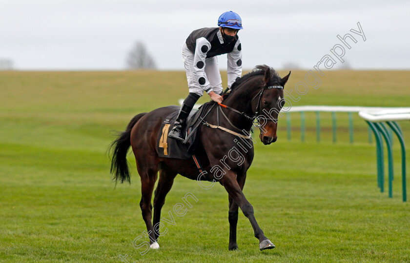 Badenscoth-0001 
 BADENSCOTH (George Downing)
Newmarket 30 Oct 2020 - Pic Steven Cargill / Racingfotos.com