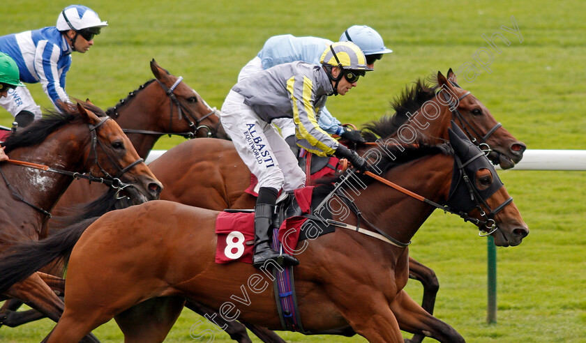 Mondammej-0004 
 MONDAMMEJ (Cam Hardie) wins The Betfair Be Friendly Handicap
Haydock 4 Sep 2021 - Pic Steven Cargill / Racingfotos.com