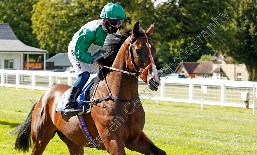 Archibar-0001 
 ARCHIBAR (Sam Hitchcott)
Salisbury 11 Jul 2020 - Pic Steven Cargill / Racingfotos.com