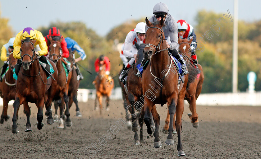 Higher-Kingdom-0006 
 HIGHER KINGDOM (Daniel Tudhope) wins The Close Brothers British Stallion Studs EBF Novice Stakes 
Kempton 9 Oct 2019 - Pic Steven Cargill / Racingfotos.com