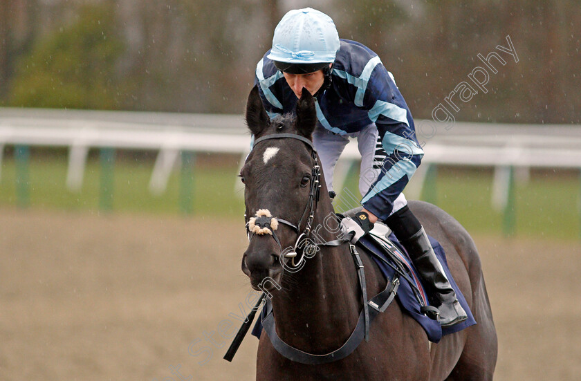 Triple-Spear-0001 
 TRIPLE SPEAR (Luke Morris)
Lingfield 4 Mar 2020 - Pic Steven Cargill / Racingfotos.com