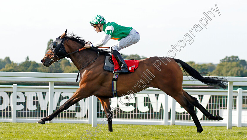 Geetanjali-0006 
 GEETANJALI (Cameron Noble) wins The Betway Heed Your Hunch Fillies Handicap
Sandown 30 Aug 2019 - Pic Steven Cargill / Racingfotos.com