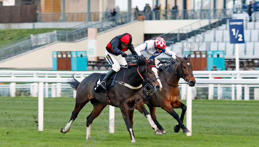 Kdeux-Saint-Fray-0004 
 KDEUX SAINT FRAY (right, Jonathan Burke) beats BLUES SINGER (left) in The Not Forgotten Open National Hunt Flat Race 
Ascot 22 Nov 2024 - Pic Steven Cargill / Racingfotos.com