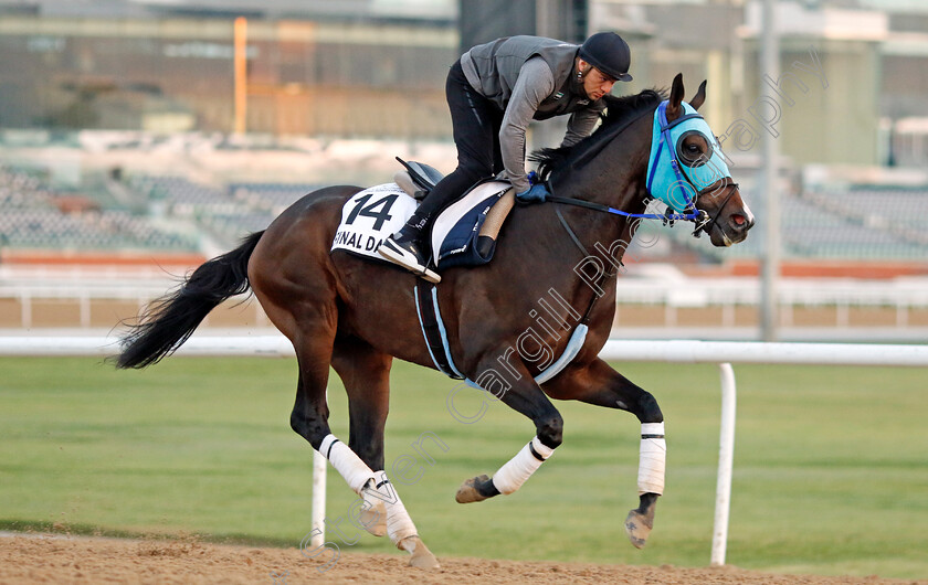 Final-Dance-0001 
 FINAL DANCE training at Meydan, Dubai
2 Feb 2023 - Pic Steven Cargill / Racingfotos.com