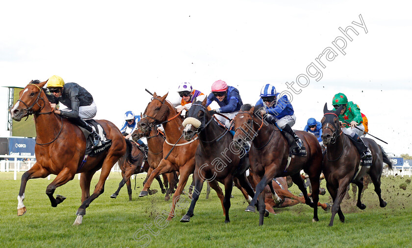 Swindler-0004 
 SWINDLER (Louis Steward) crosses the field and causes a faller (Magical Ride) to win The Fever-Tree Handicap but is allowed to keep the race in the stewards enquiry.
Ascot 7 Sep 2019 - Pic Steven Cargill / Racingfotos.com