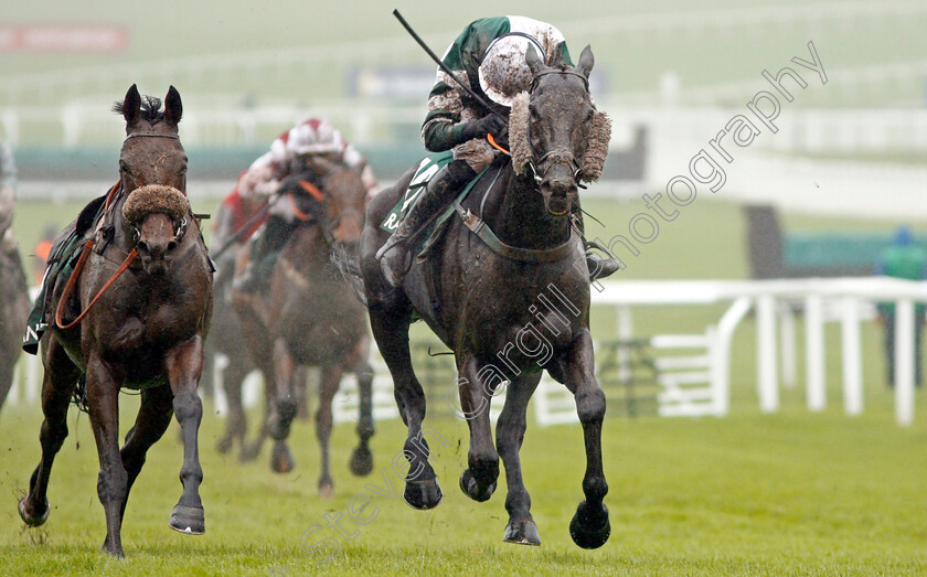 Vaniteux-0001 
 VANITEUX (Sean Houlihan)
Cheltenham 26 Oct 2019 - Pic Steven Cargill / Racingfotos.com