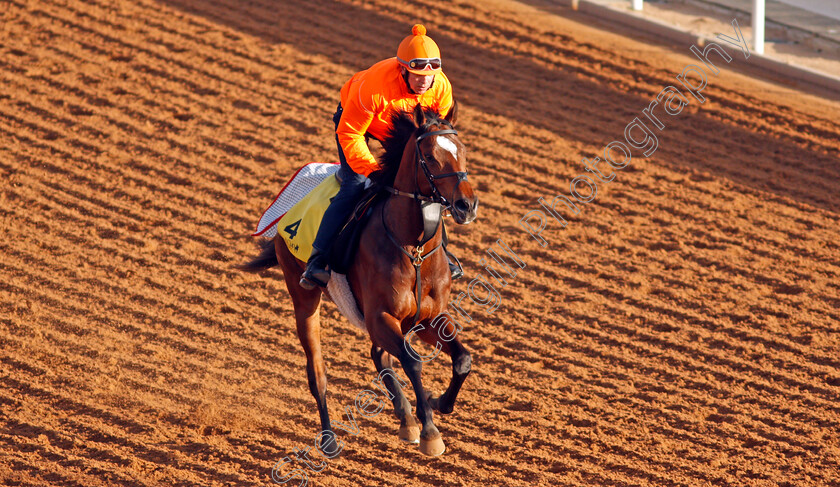 Grocer-Jack-0001 
 GROCER JACK training for The Neom Turf Cup
King Abdulaziz Racetrack, Riyadh, Saudi Arabia 23 Feb 2022 - Pic Steven Cargill / Racingfotos.com