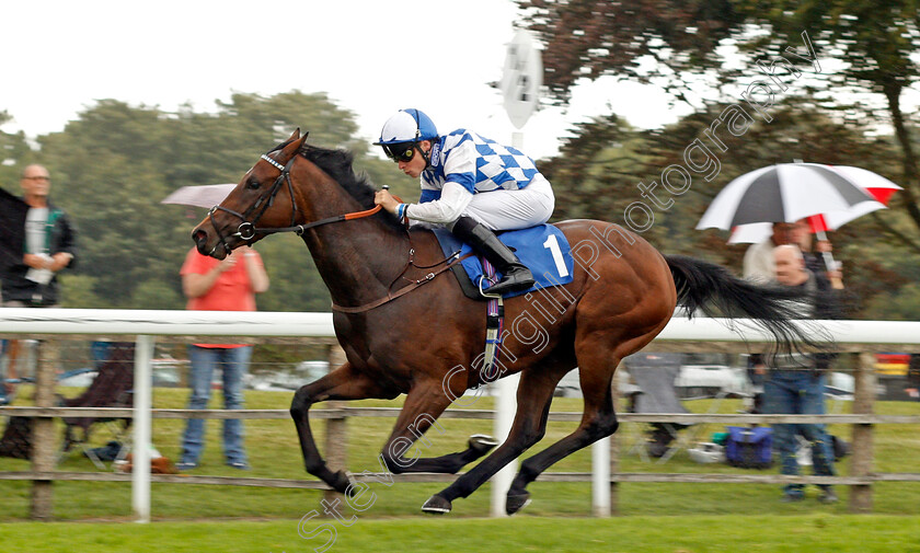 Clairette-0004 
 CLAIRETTE (Kieran Shoemark) wins The British EBF Quidhampton Maiden Fillies Stakes Div2 Salisbury 7 Sep 2017 - Pic Steven Cargill / Racingfotos.com