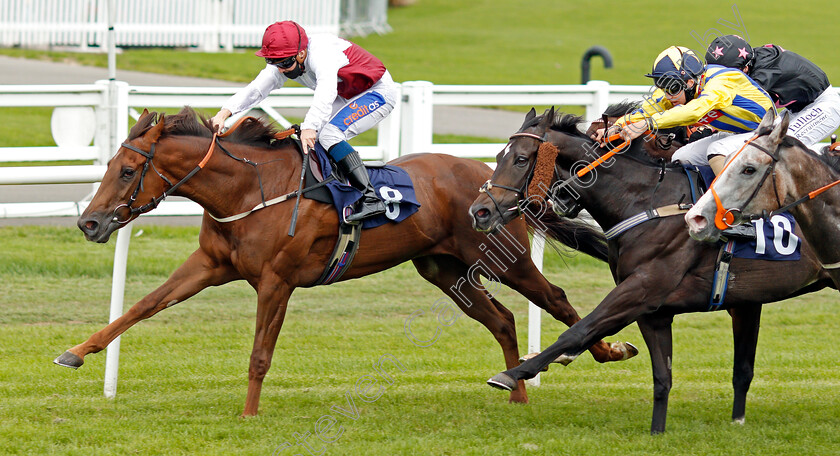 Al-Mansoura-0001 
 AL MANSOURA (left, Shane Gray) and FIELD OF VISION (right, George Rooke)
Lingfield 7 Sep 2020 - Pic Steven Cargill / Racingfotos.com