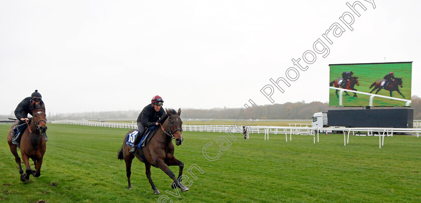 Paisley-Park-and-Mount-Ferris-0002 
 PAISLEY PARK (right, Barry Fenton) with MOUNT FERRIS (left, Joe Anderson)
Coral Gold Cup Gallops Morning
Newbury 21 Nov 2023 - Pic Steven Cargill / Racingfotos.com