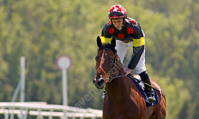 Life s-A-Beach 
 LIFE'S A BEACH (Rossa Ryan)
Chepstow 27 May 2022 - Pic Steven Cargill / Racingfotos.com