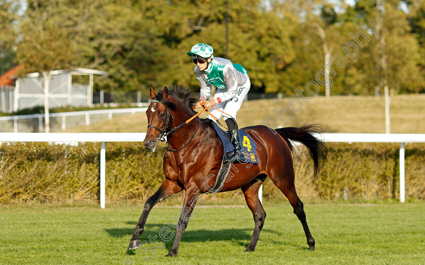 Best-Of-Lips-0010 
 BEST OF LIPS (Hugo Boutin) winner of The Stockholm Cup International
Bro Park, Sweden , 15 Sep 2024 - Pic Steven Cargill / Racingfotos.com