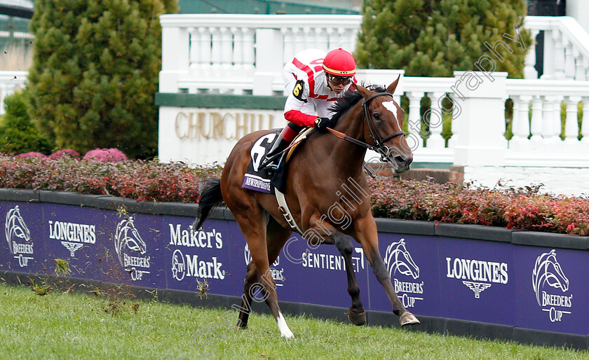 Newspaperofrecord-0008 
 NEWSPAPEROFRECORD (Irad Ortiz) wins The Breeders' Cup Juvenile Fillies Turf
Churchill Downs 2 Nov 2018 - Pic Steven Cargill / Racingfotos.com