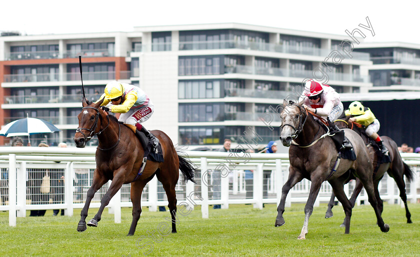 Shadn-0002 
 SHADN (Oisin Murphy) beats MISTY GREY (right) in The Irish Thoroughbred Marketing Rose Bowl Stakes
Newbury 19 Jul 2019 - Pic Steven Cargill / Racingfotos.com