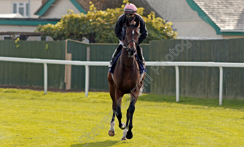 Lower-Street-0001 
 LOWER STREET (Harry Bentley)
Yarmouth 20 Oct 2020 - Pic Steven Cargill / Racingfotos.com