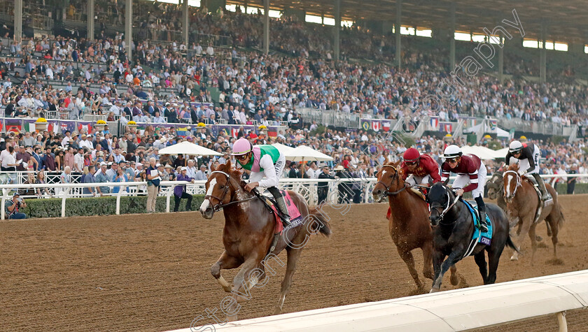 Elite-Power-0002 
 ELITE POWER (Irad Ortiz) wins The Breeders' Cup Sprint
Santa Anita 4 Nov 2023 - pic Steven Cargill / Racingfotos.com