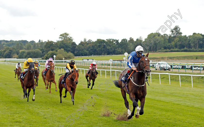 King-Zain-0002 
 KING ZAIN (Franny Norton) wins The Betway EBF Novice Stakes
Lingfield 7 Sep 2020 - Pic Steven Cargill / Racingfotos.com