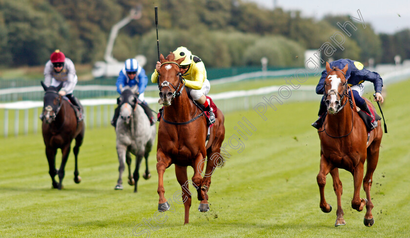 Ostilio-0003 
 OSTILIO (left, Andrea Atzeni) beats SYMBOLIZE (right) in The Betfair EBF Conditions Stakes
Haydock 3 Sep 2020 - Pic Steven Cargill / Racingfotos.com