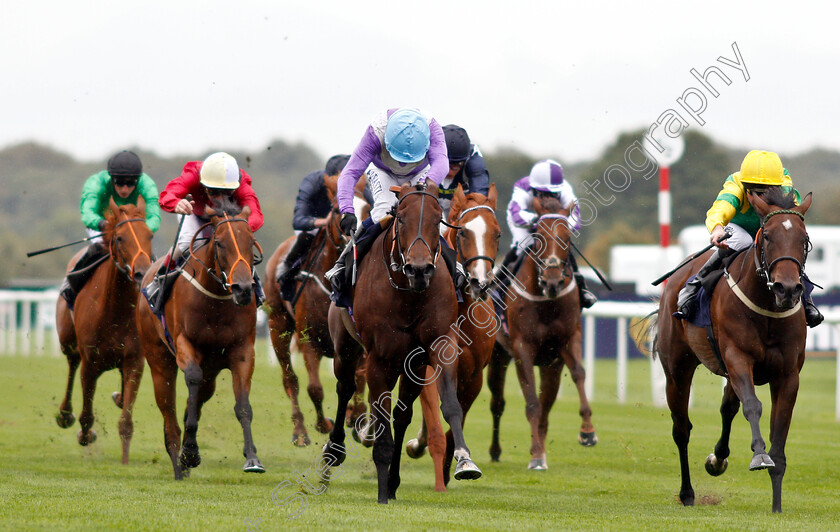 Dancing-Star-0001 
 DANCING STAR (centre, Oisin Murphy) beats EIRENE (right) in The Japan Racing Association Sceptre Stakes
Doncaster 14 Sep 2018 - Pic Steven Cargill / Racingfotos.com