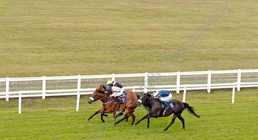 Dublin-Rocker-0001 
 DUBLIN ROCKER (left, Jimmy Quinn) beats INDEPENDENCE DAY (right) in The attheraces.com Handicap
Yarmouth 15 Jul 2020 - Pic Steven Cargill / Racingfotos.com