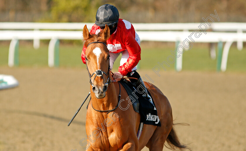 Felix-0002 
 FELIX (Hollie Doyle)
Lingfield 27 Feb 2021 - Pic Steven Cargill / Racingfotos.com