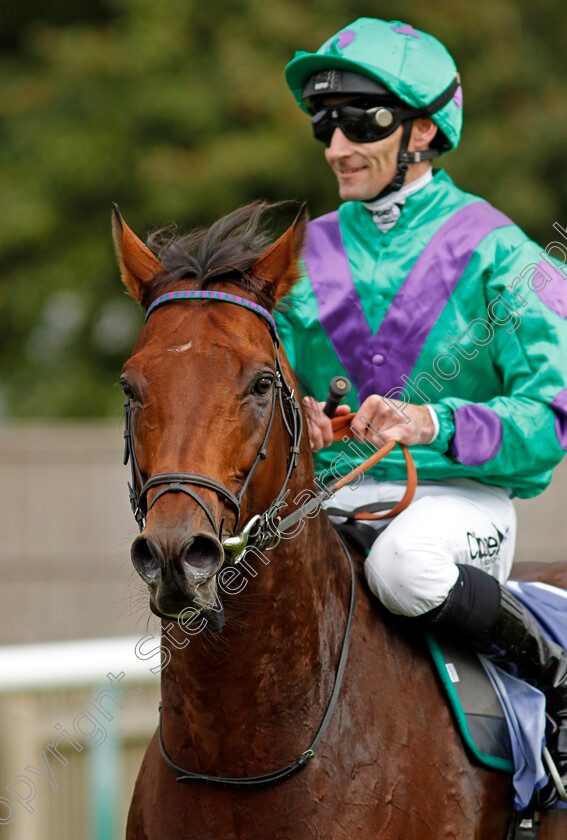 Prague-0006 
 PRAGUE (Daniel Tudhope) winner of The Al Basti Equiworld Dubai Joel Stakes
Newmarket 27 Sep 2024 - Pic Steven Cargill / Racingfotos.com