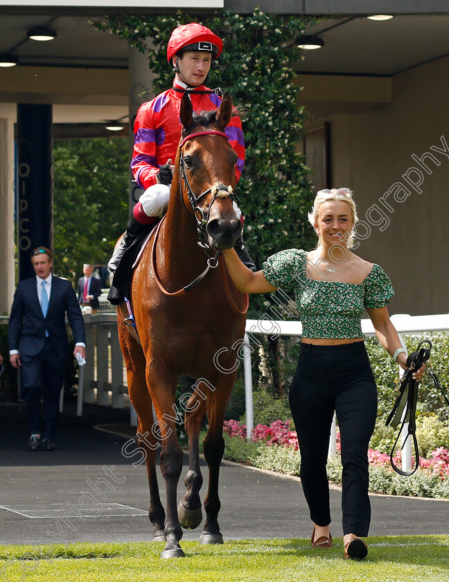 Dreamloper-0005 
 DREAMLOPER (Oisin Muprhy) after The British Racecourses Join Sunflower Lanyard Scheme Valiant Stakes
Ascot 23 Jul 2021 - Pic Steven Cargill / Racingfotos.com