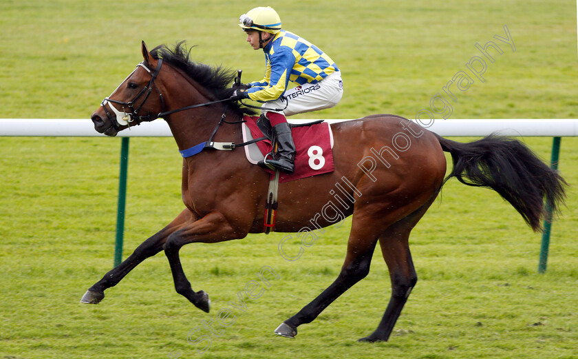 Moor-Top-0001 
 MOOR TOP (Andrew Mullen)
Haydock 25 May 2018 - Pic Steven Cargill / Racingfotos.com