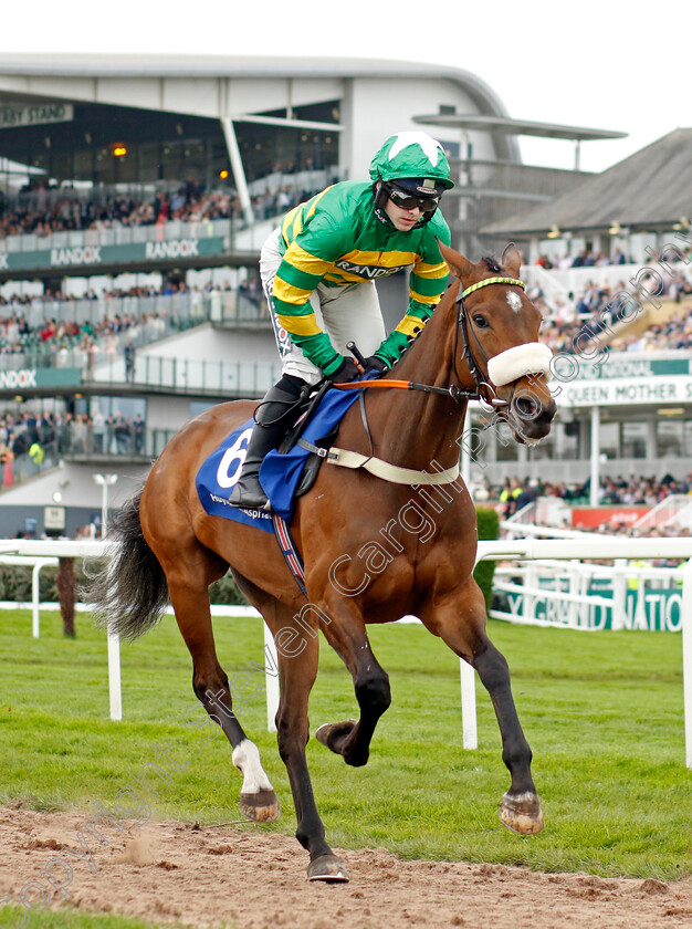 Iroko-0001 
 IROKO (Jonjo O'Neill)
Aintree 12 Apr 2024 - Pic Steven Cargill / Racingfotos.com