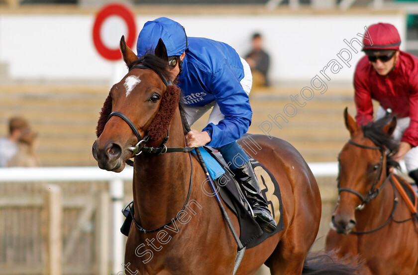 Cannon-Rock-0005 
 CANNON ROCK (William Buick) winner of The Home Of Racing Maiden Stakes
Newmarket 19 Oct 2022 - Pic Steven Cargill / Racingfotos.com