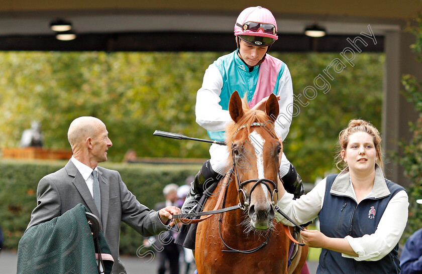 Pocket-Square-0009 
 POCKET SQUARE (Jason Watson) after The Royal Foresters British EBF Fillies Novice Stakes
Ascot 7 Sep 2019 - Pic Steven Cargill / Racingfotos.com