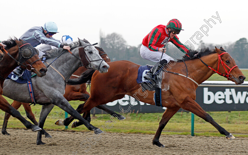 Easy-Tiger-0007 
 EASY TIGER (Liam Keniry) beats GENERAL HAZARD (left) in The Betway Handicap Lingfield 6 Jan 2018 - Pic Steven Cargill / Racingfotos.com