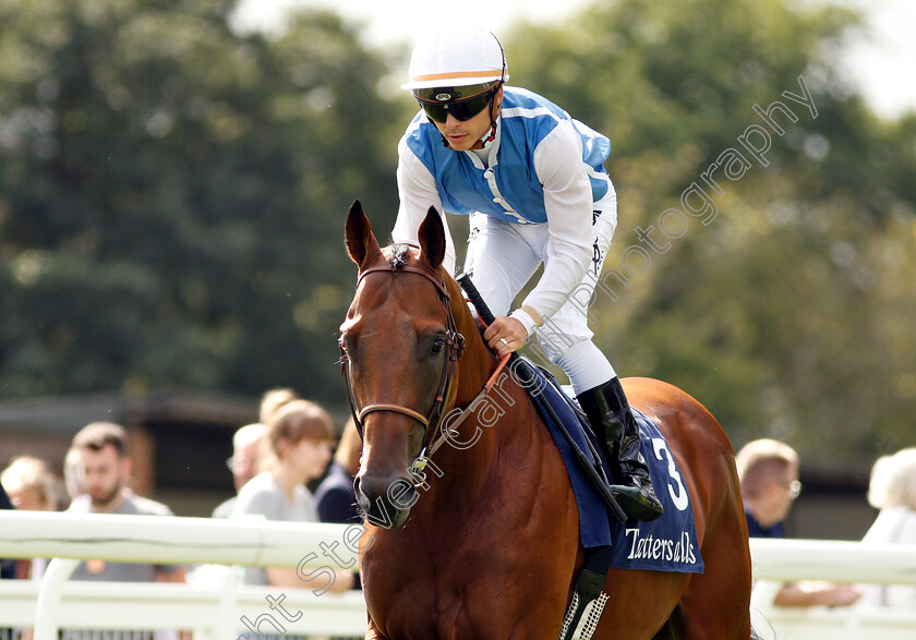 Plumatic-0002 
 PLUMATIC (Maxime Guyon) before winning The Tattersalls Sovereign Stakes
Salisbury 16 Aug 2018 - Pic Steven Cargill / Racingfotos.com