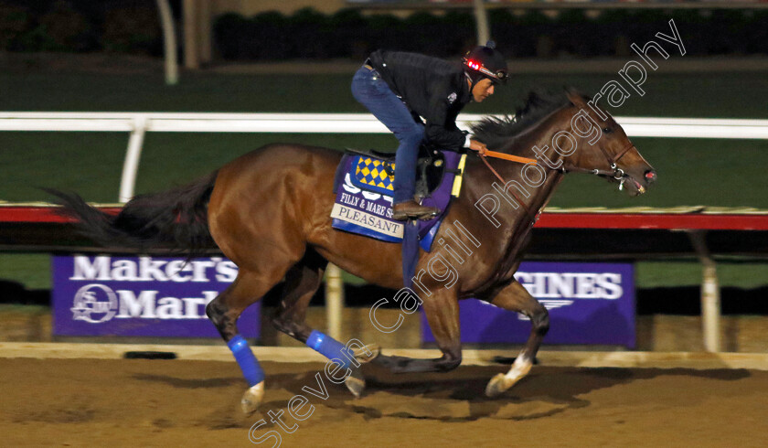 Pleasant-0001 
 PLEASANT training for the Breeders' Cup Filly & Mare Sprint
Del Mar USA 30 Oct 2024 - Pic Steven Cargill / Racingfotos.com