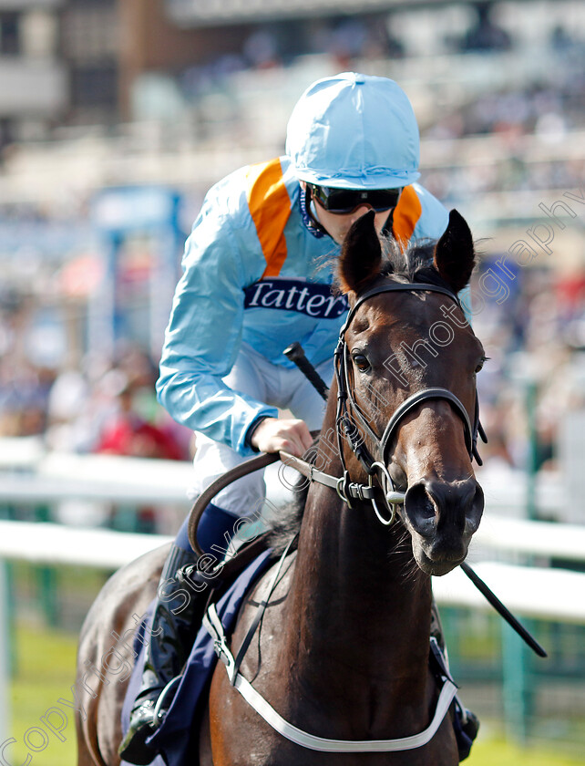 Malc-0001 
 MALC (Oisin Orr)
Doncaster 15 Sep 2023 - Pic Steven Cargill / Racingfotos.com