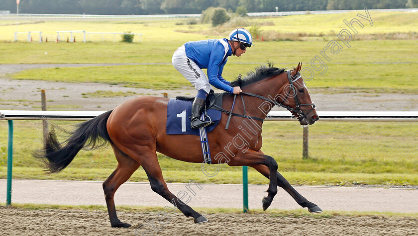 Amaan-0001 
 AMAAN (Jim Crowley)
Lingfield 3 Oct 2019 - Pic Steven Cargill / Racingfotos.com