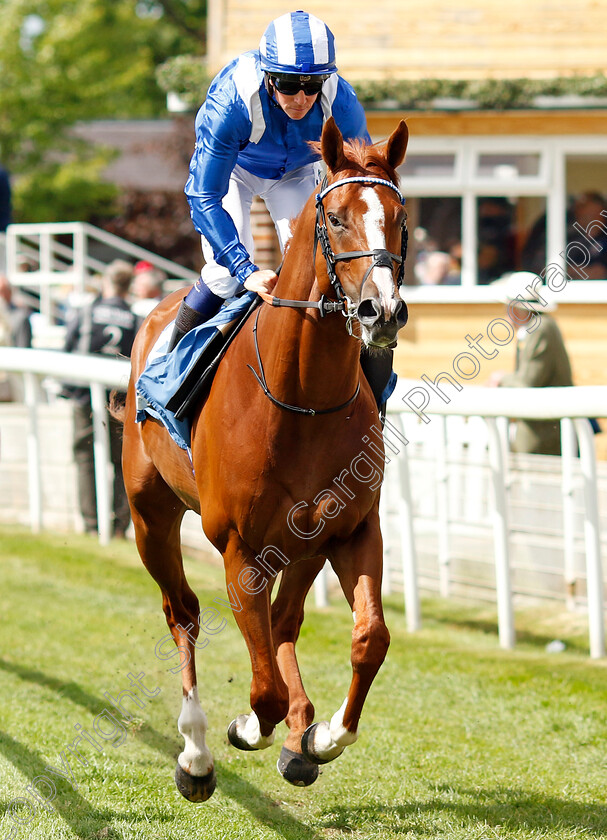 Mohaafeth 
 MOHAAFETH (Jim Crowley)
York 10 Jun 2022 - Pic Steven Cargill / Racingfotos.com