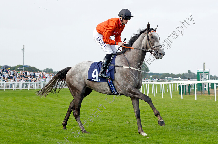 Mango-Boy-0001 
 MANGO BOY (Jack Mitchell)
Yarmouth 16 Sep 2021 - Pic Steven Cargill / Racingfotos.com