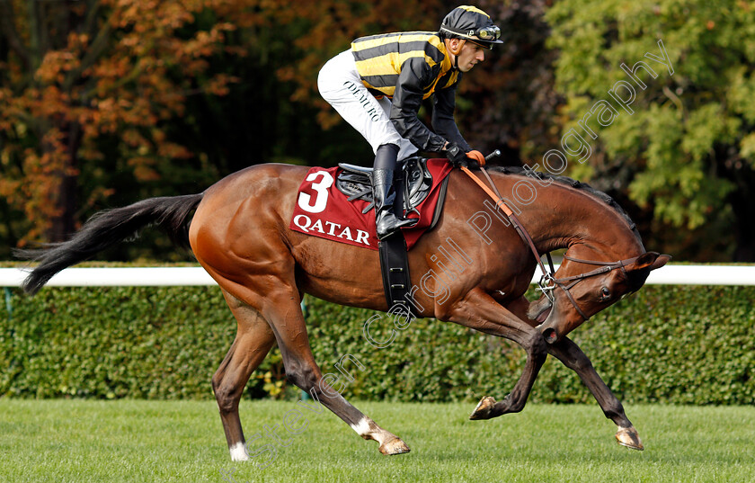 Times-Square-0003 
 TIMES SQUARE (Cristian Demuro)
Longchamp 3 Oct 2021 - Pic Steven Cargill / Racingfotos.com